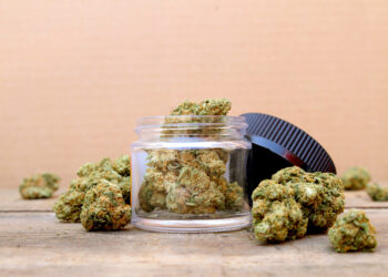 Governor Hochul Overhauls Cannabis Office Amid Criticism