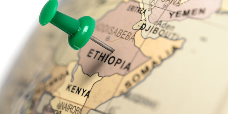 Death Toll from Ethiopian Landslides Rises to 229