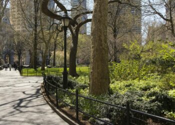 NYPD Cracks Down on Teen Muggings in Central Park Amid Surge in Crime