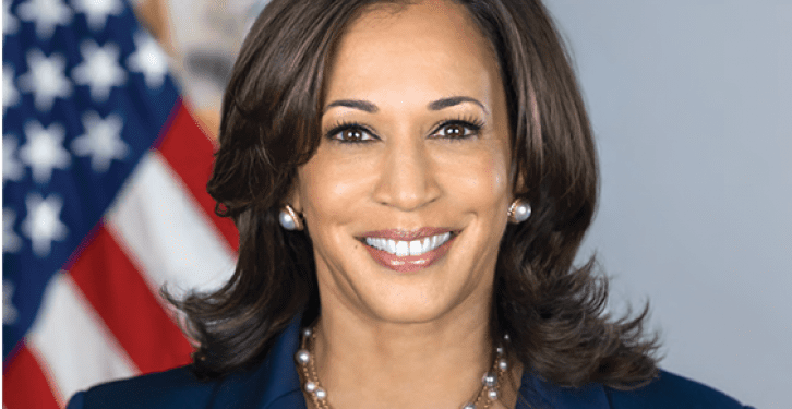 Kamala Harris Delivers Forceful Speech at DNC, Targeting Trump and Highlighting Patriotism