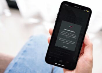 TikTok Back Online in the U.S. After Trump Delays Ban for 90 Days