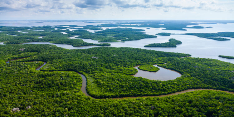 Florida Sued Over Controversial ‘Alligator Alcatraz’ Detention Center