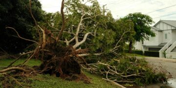 Storm Knocks Out Power to 21,000 and Disrupts Travel Across NYC and New Jersey